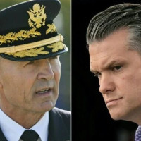 11 incredible images of insects