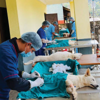 Govt accepts $ 2 million in grant assistance from AIIB