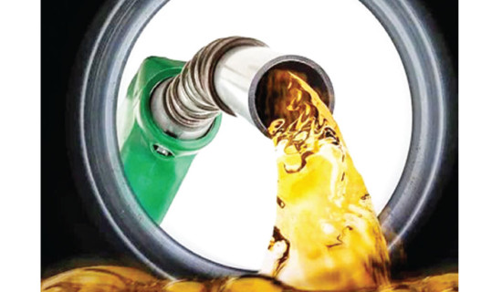 Petrol prices hit record high