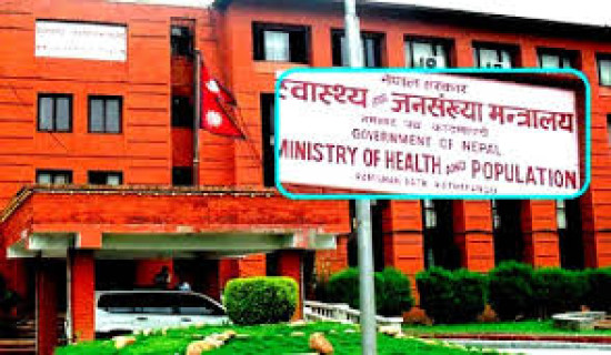 Health Ministry's directive to designate 'focal person'