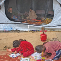 Mold Thrives In Monsoon