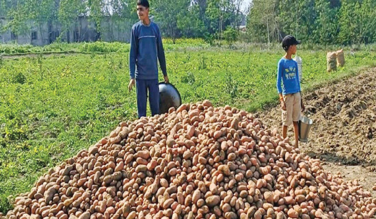 Nepal emerging as more peaceful nation