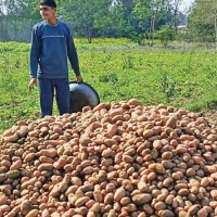 Constitution 2072: Nepal’s Most Progressive Constitution