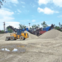 Banana farms in Sunsari suffer heavy loss