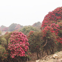 Collaboration of three tiers of government stressed for curbing human trafficking