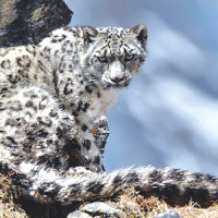 18 people diagnosed with leprosy in Chitwan