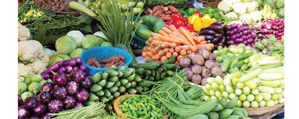 Agricultural products collection centre run in Kolti