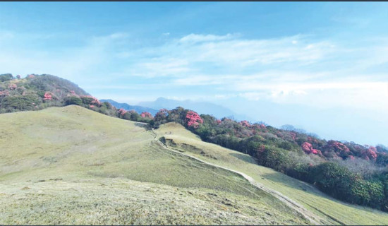 Mundum Trail Ultra Race-2082: Nirmala, Binod win titles