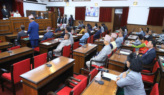 NA members draw govt attention on multiple issues