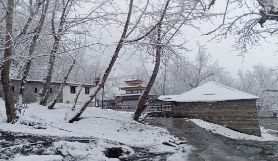 Heavy snowfall in lower Mustang