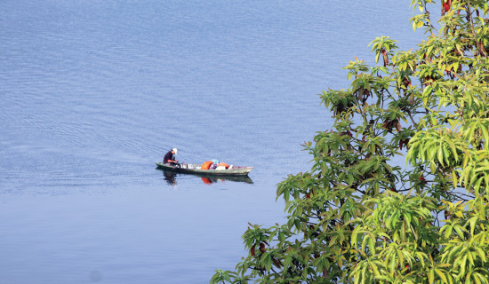 Pauwa Company creates 300 jobs with investment of Rs 600 million in hospitality sector