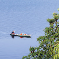 Plywood Industry closed leaving 600 workers jobless