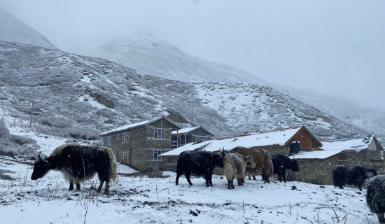 Minister Bhandari pledges to assure workers' rights