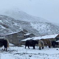 Government establishing National Cyber Security Centre