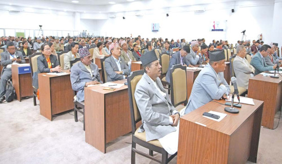 MPs raise issues of public concern  in Zero Hour