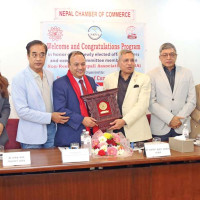 Min Bahadur and his family own over 29 ropani of Lalita Niwas land: CIB