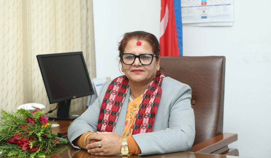 National Assembly Vice Chair Bhandari gives up party responsibility