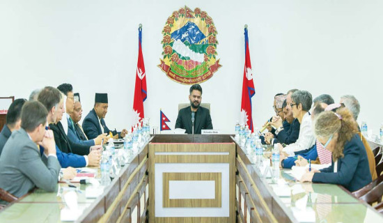 'Collective intelligence' underlined to reduce climate emergencies