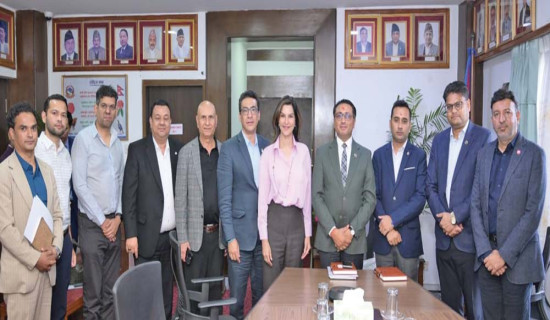 NAIMA urges to raise auto loan ceiling to 80%