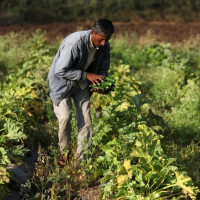 US military to remain deployed around Iran until "real agreement" is complied with: Trump