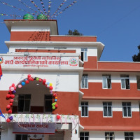 Chair Oli and leader Lekhak freed